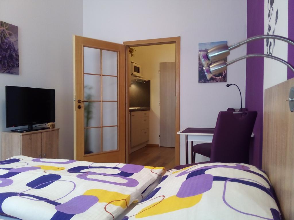 Apartmany - Penzion Smetanka Czeskie Budziejowice Zewnętrze zdjęcie