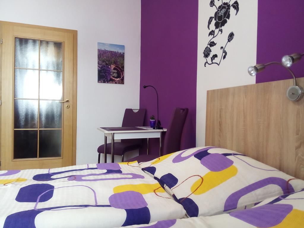 Apartmany - Penzion Smetanka Czeskie Budziejowice Pokój zdjęcie